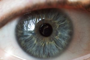 Fighting the Mites that Live on Eyelids