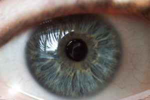 Dr. Joseph W. Fife Board Certified by American Board of Optometry