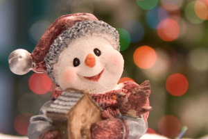 Our Team’s Favorite Holiday Traditions